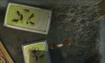 Bad Mojo Redux 