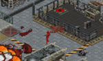 Crusader No Regret