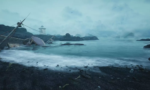 The Shore