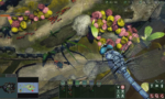 Empires of the Undergrowth