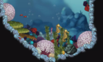 Aquaria
