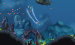 Aquaria